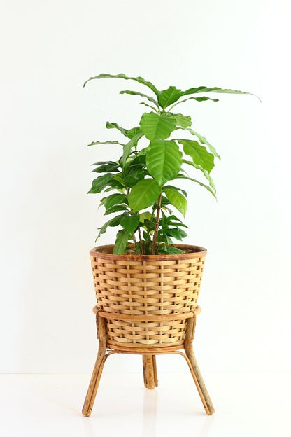 SOLD - Vintage Rattan Tripod Plant Stand with Wicker Basket